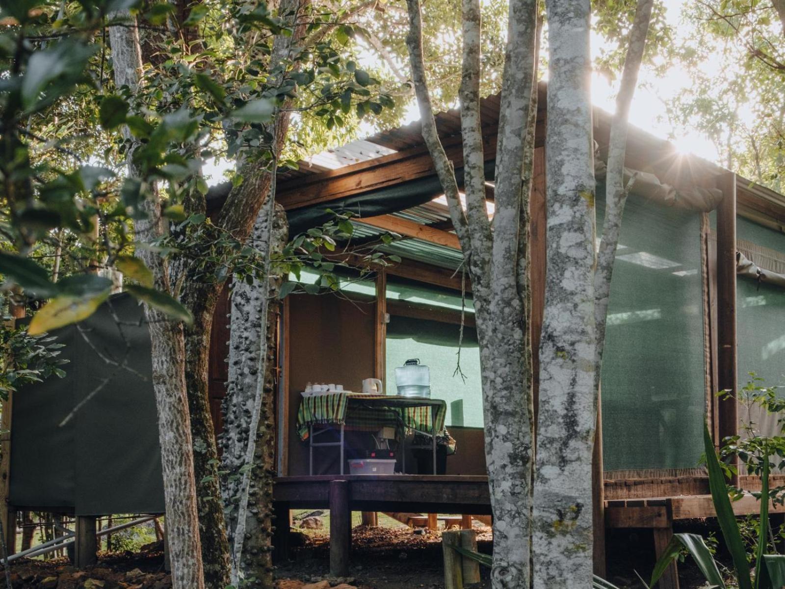 Firefly Falls Plettenberg Bay Exteriér fotografie