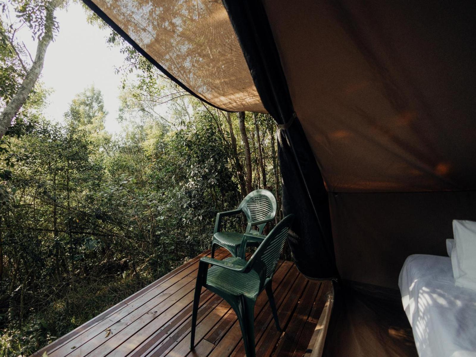 Firefly Falls Plettenberg Bay Exteriér fotografie