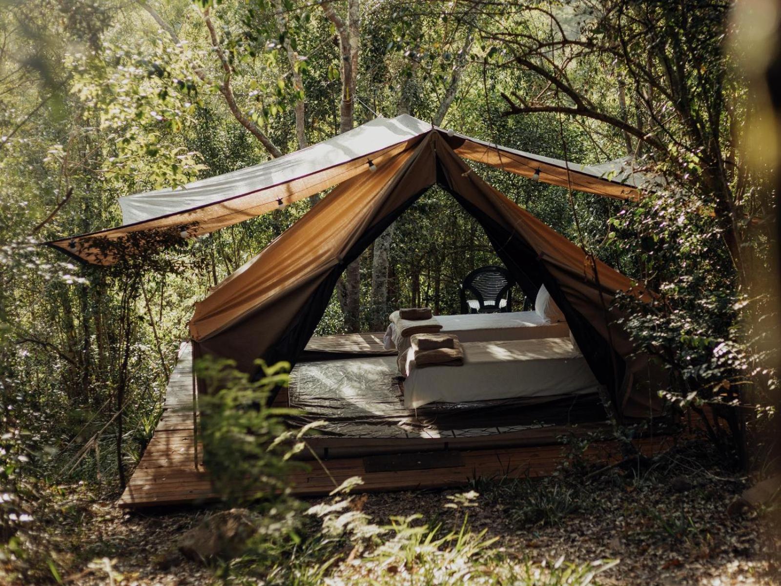 Firefly Falls Plettenberg Bay Exteriér fotografie