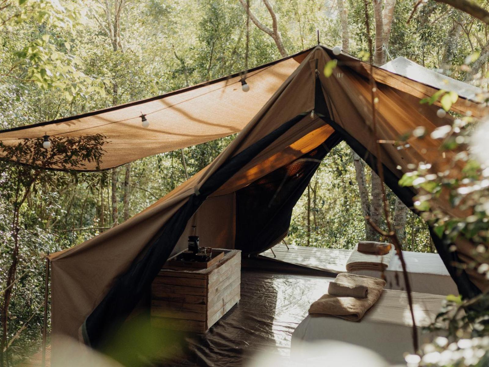 Firefly Falls Plettenberg Bay Exteriér fotografie