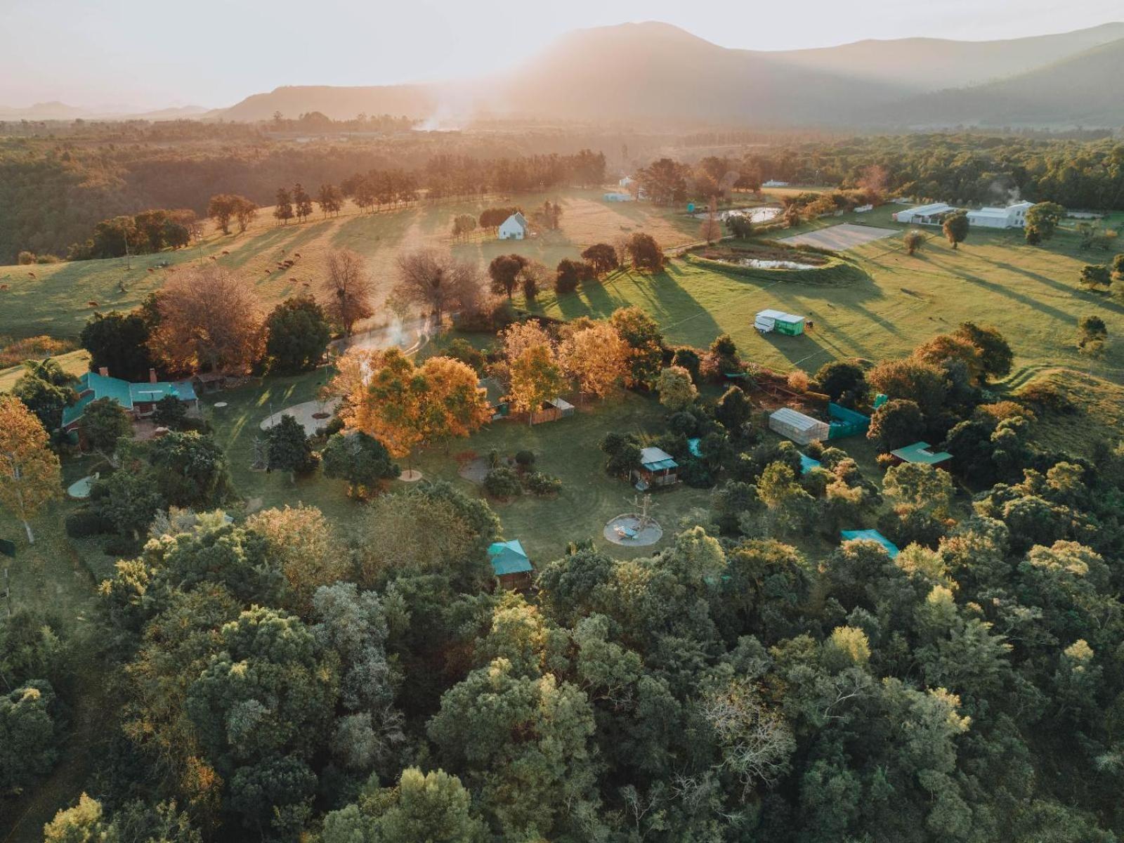 Firefly Falls Plettenberg Bay Exteriér fotografie