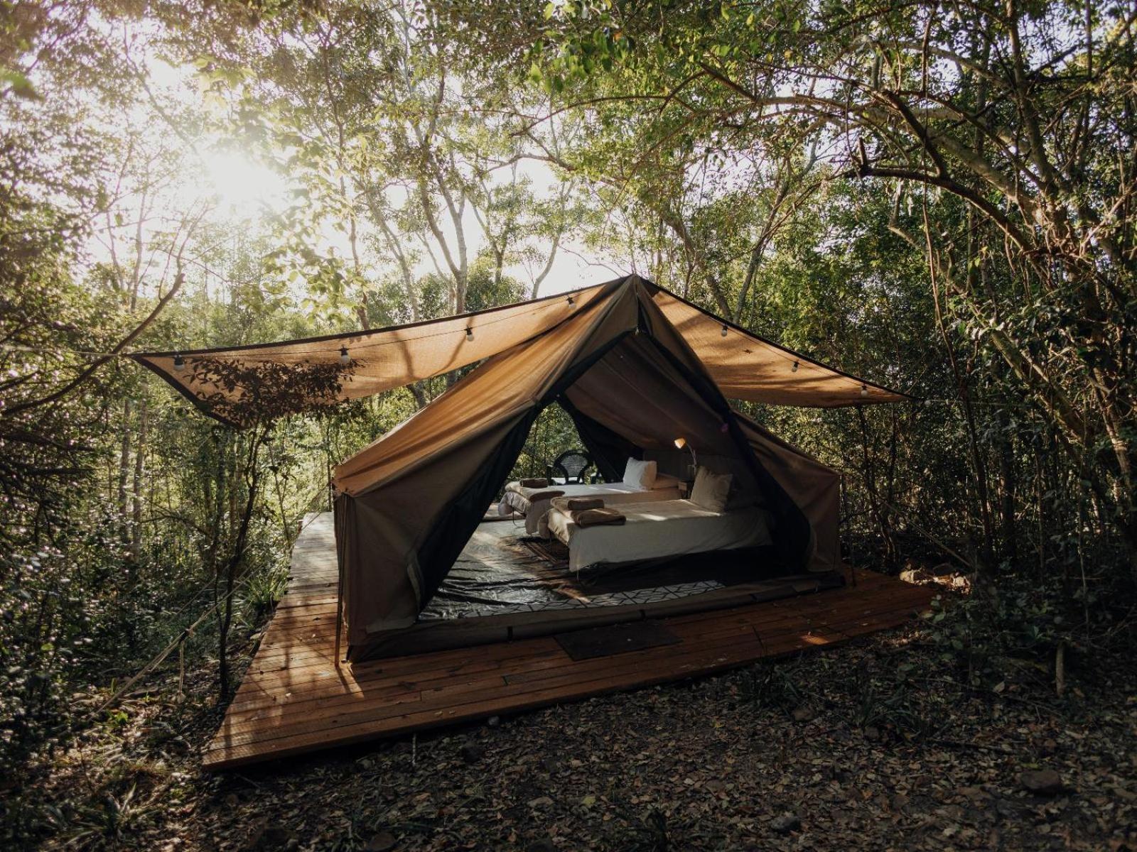 Firefly Falls Plettenberg Bay Exteriér fotografie